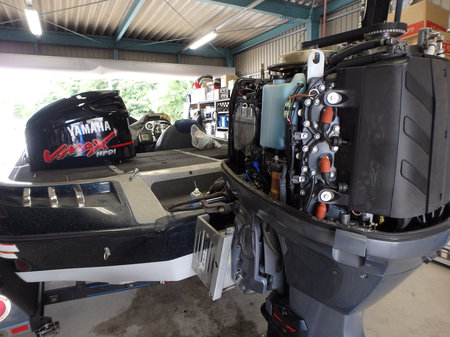 P6170050[1].jpg